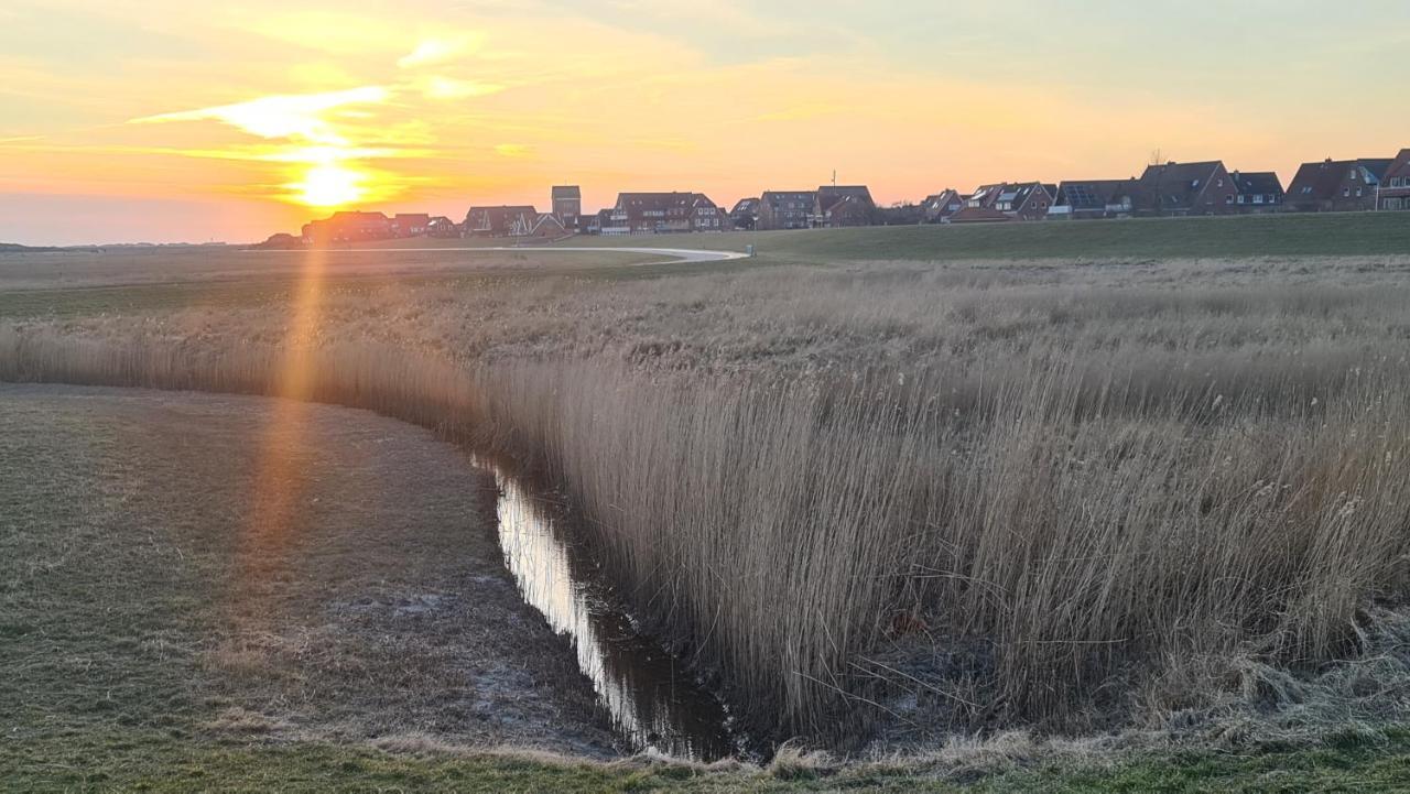 Seevilla Wietjes Whg 7 Baltrum Exteriér fotografie
