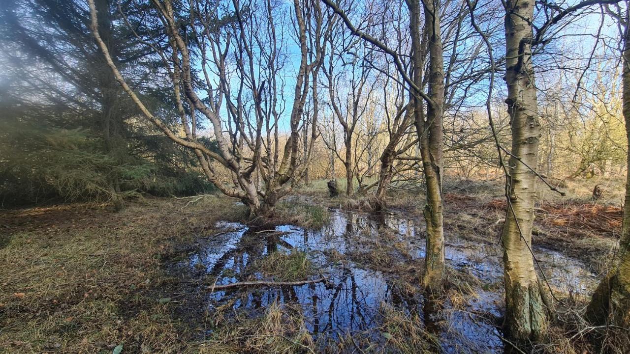 Seevilla Wietjes Whg 7 Baltrum Exteriér fotografie
